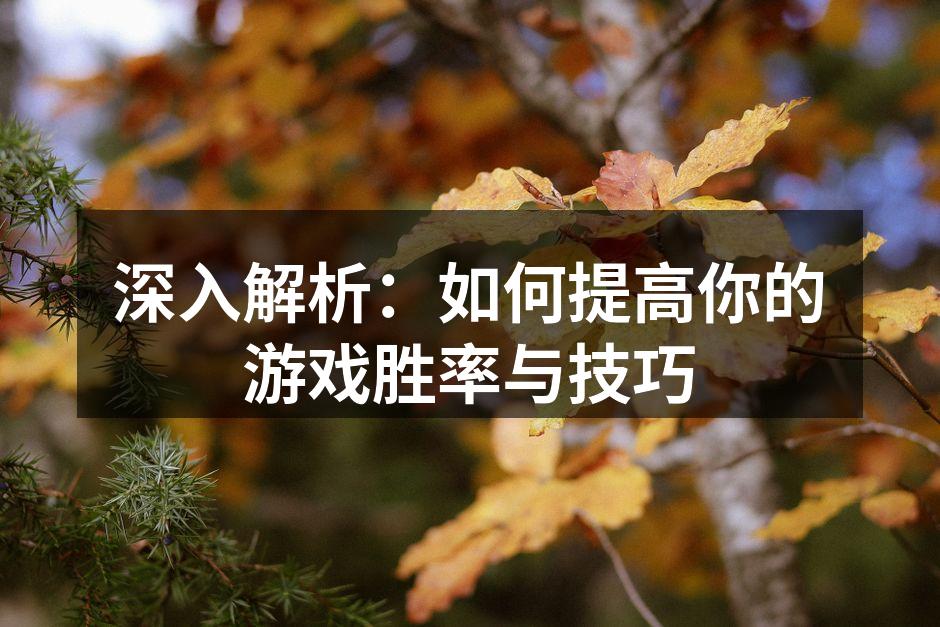 深入解析：如何提高你的游戏胜率与技巧
