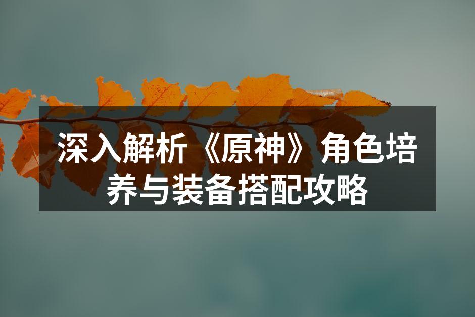 深入解析《原神》角色培养与装备搭配攻略